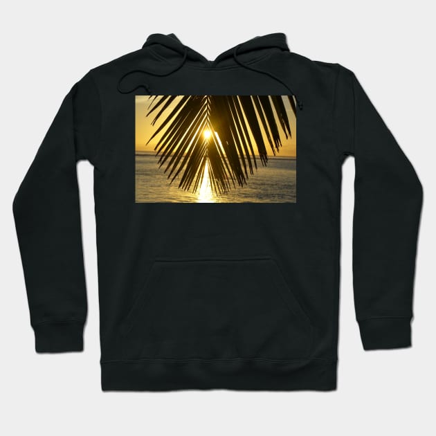 Sunset in Paradise Hoodie by KaSaPo